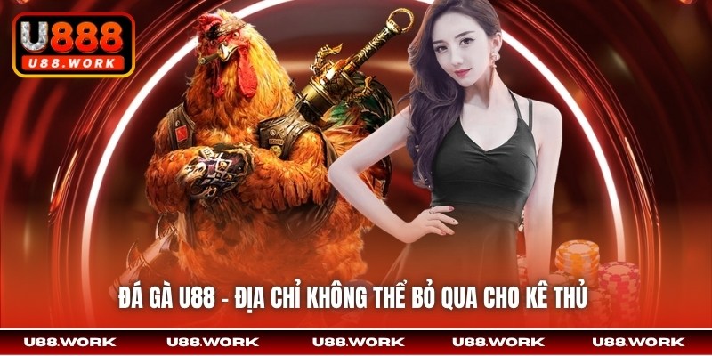 Đá Gà U88 - địa chỉ không thể bỏ qua cho kê thủ